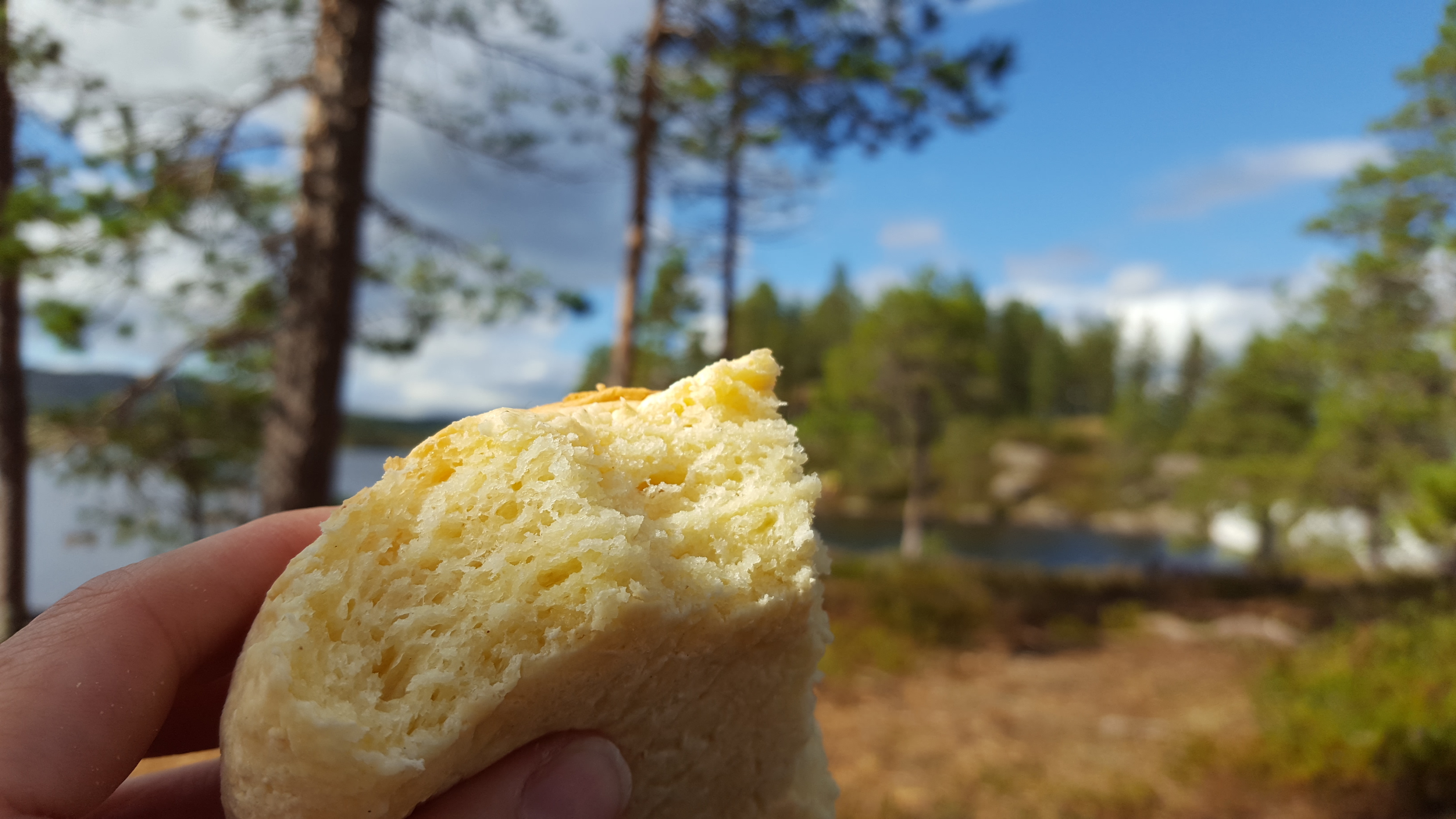 Gluten- og melkefrie boller