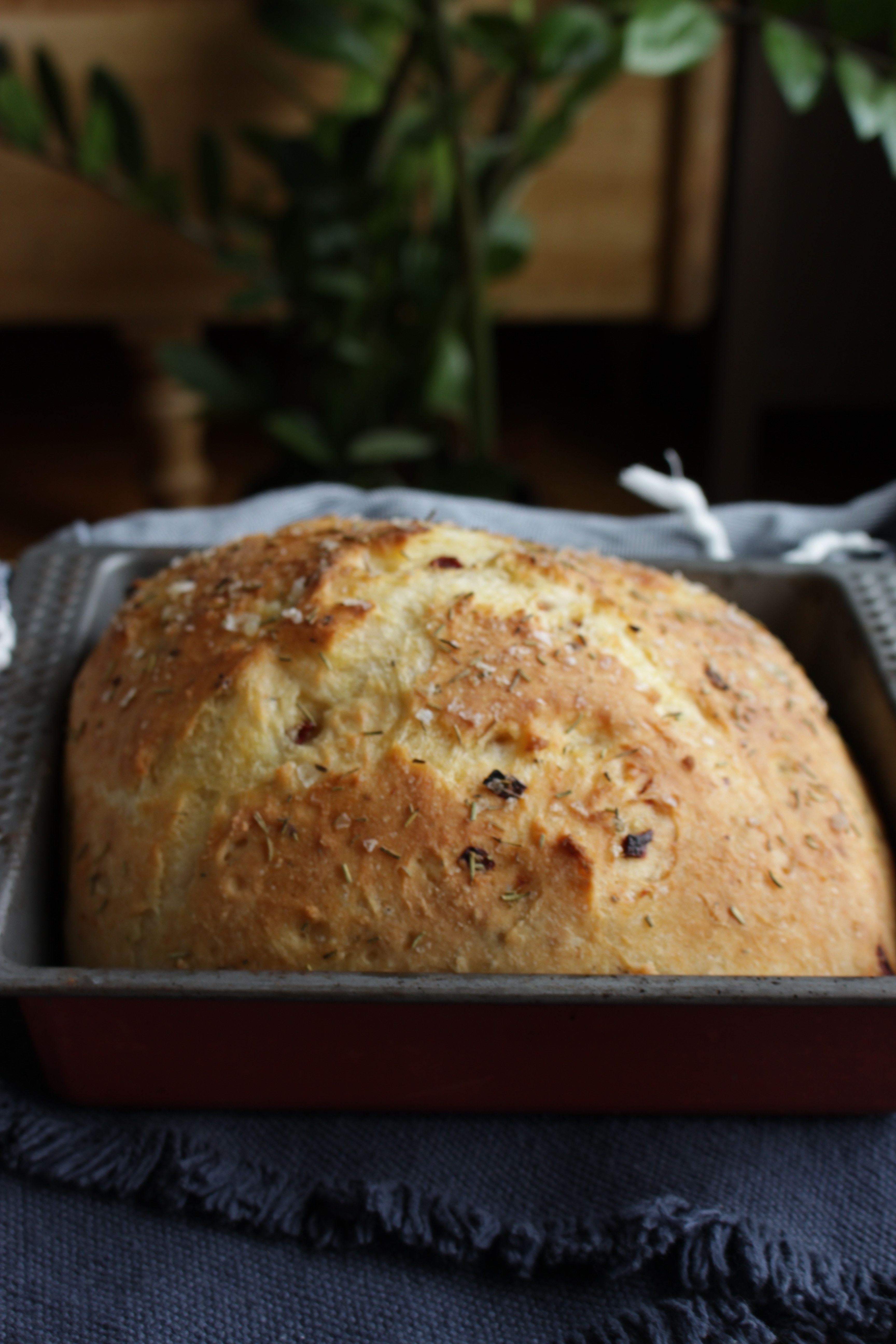 Saftig glutenfri focaccia (+)
