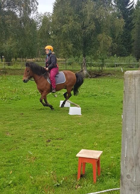 Hverdagspuls med hest i garasjen