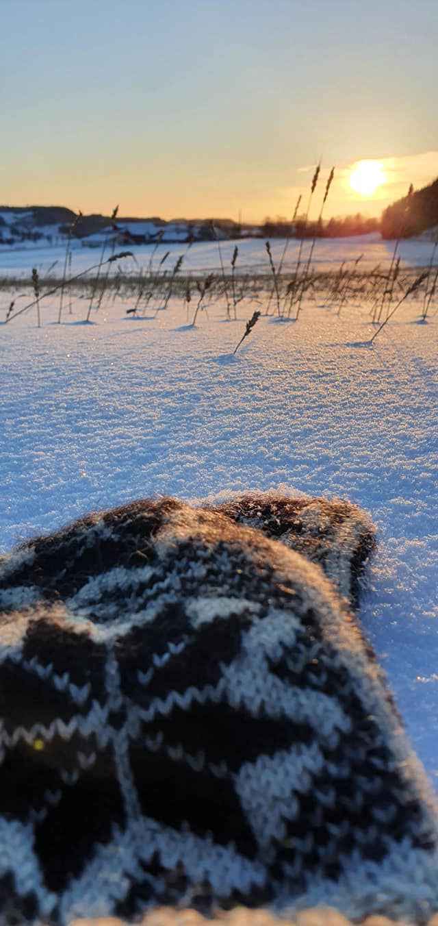 Koronatankekjøret